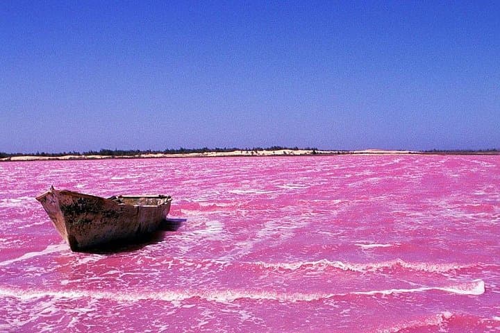 Lac Rose & Noflaye Tortoise Park: Pink Lake, Dunes and Fulani Village Day Tour
