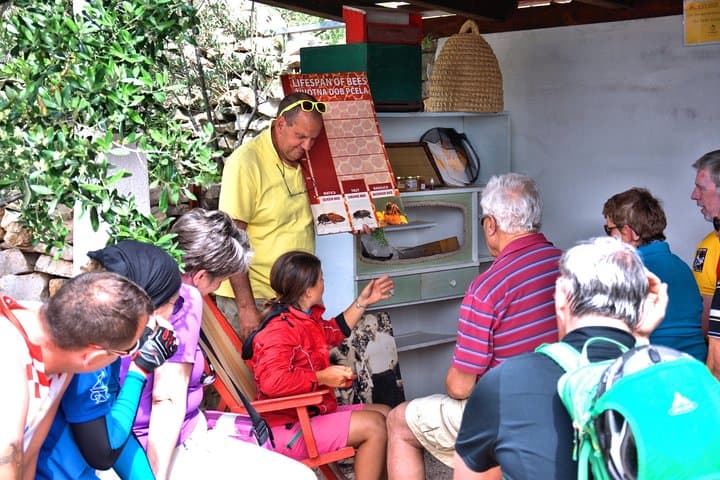Give Bees a Chance — Beekeeping Experience on Šolta, Croatia