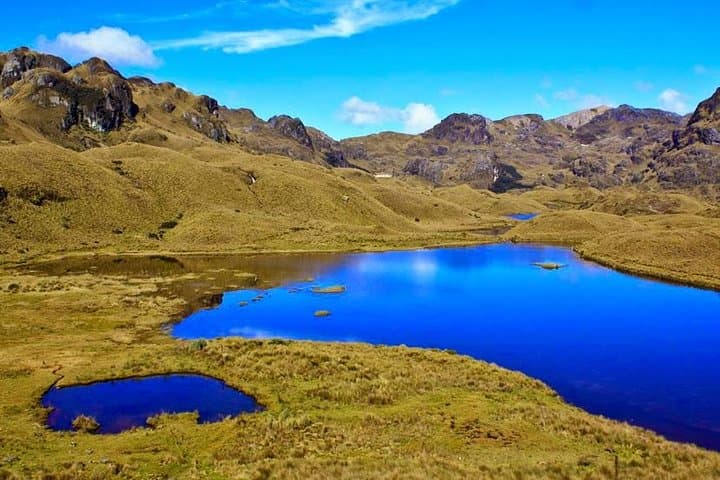 Half-Day Cajas National Park Tour from Cuenca — High-Andean Lakes & Wildlife photo 1