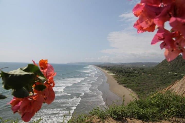 Full-Day Montañita Surf and Beach Trip from Guayaquil photo 2