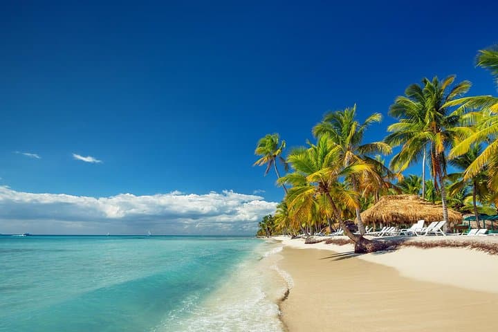 Full-Day Saona Island Cruise: Natural Pool, Palm Beaches & Lunch from Punta Cana photo 3