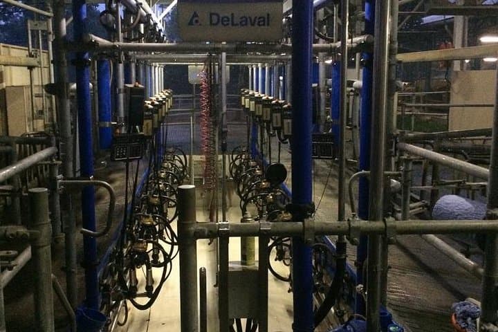 From Pavement to Parlor: JK Farms Dairy Day Trip from Trivandrum photo 2