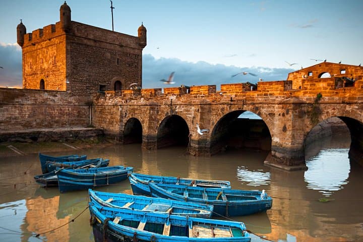 Marrakesh to Essaouira Day Trip: Coastal Medina, Argan Forests & Fresh Seafood