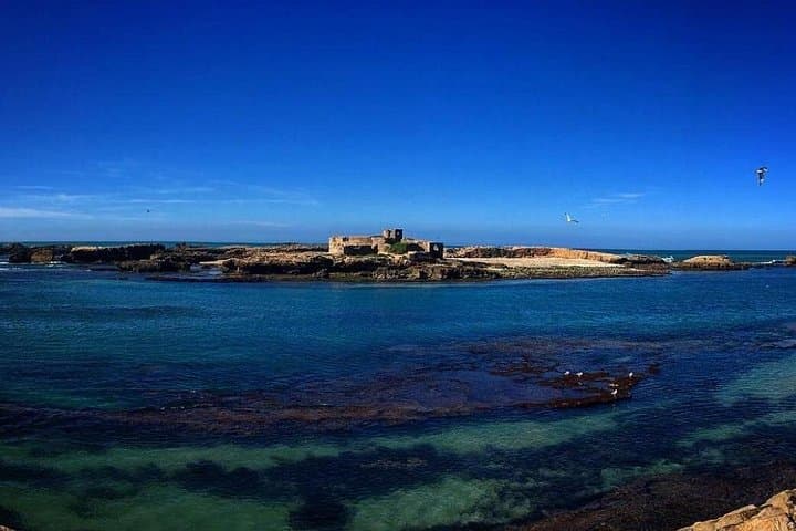 Marrakesh to Essaouira Day Trip: Coastal Medina, Argan Forests & Fresh Seafood photo 2