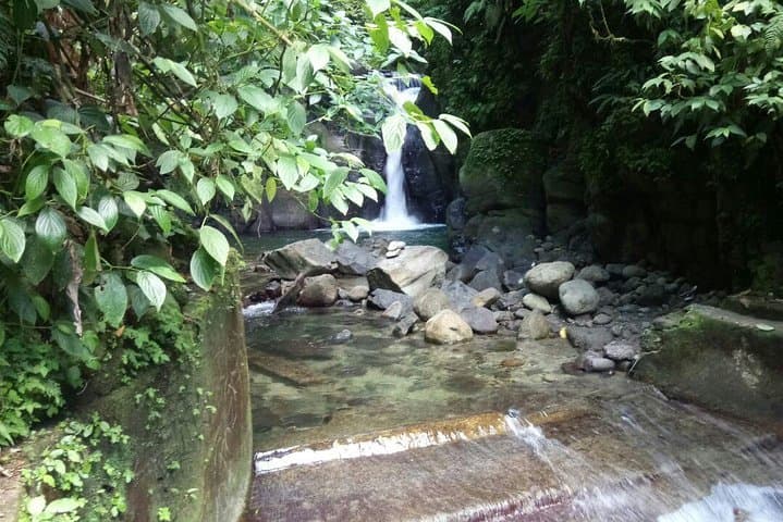 North Caribbean Tour in Martinique: Montagne Pelée, Rum & Black Sand Beaches photo 3