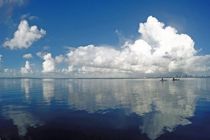Cancún Mangrove Channel Speedboat Tour through Nichupté Lagoon photo 5