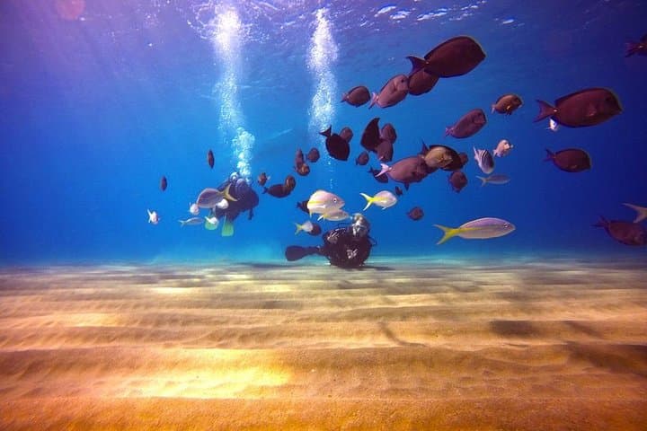 First Breath Underwater: Discover Scuba Diving in Sosúa Bay photo 3