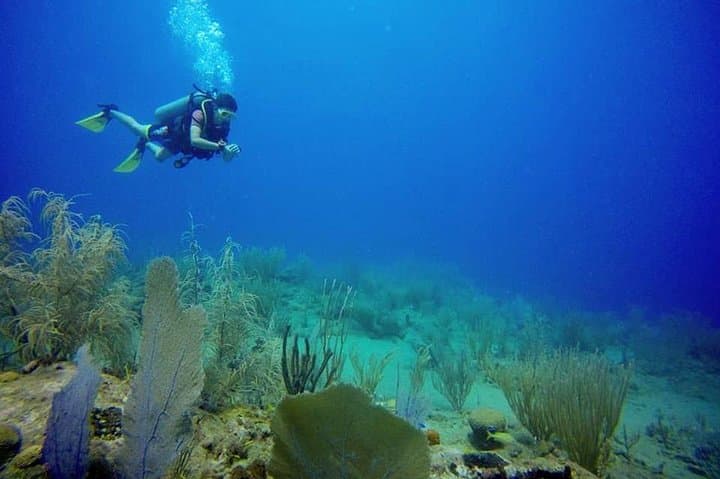 First Breath Underwater: Discover Scuba Diving in Sosúa Bay photo 2