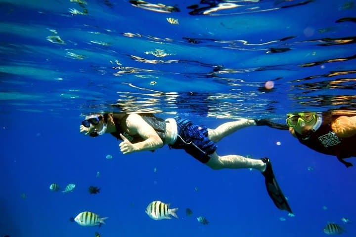 Sosúa Bay Guided Snorkel Cruise — 2-Hour Boat Trip with Pro Guide