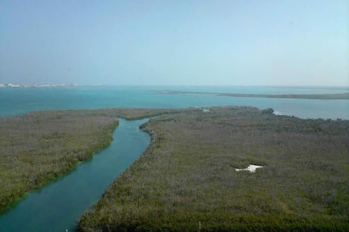 Cancún Mangrove Channel Speedboat Tour through Nichupté Lagoon photo 6