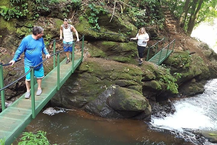 San José Nature Explorer: Tarcoles Crocodiles, Jungle River Hike & Cliff Jumps photo 6