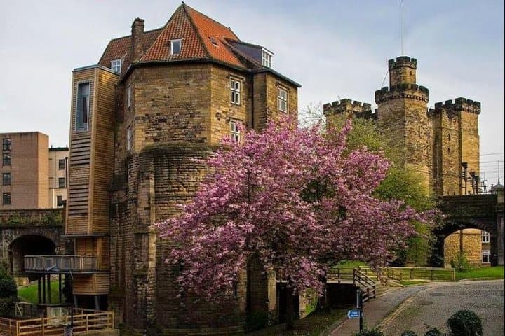 Explore Newcastle Castle: Annual Admission to the Castle Keep & Black Gate photo 3
