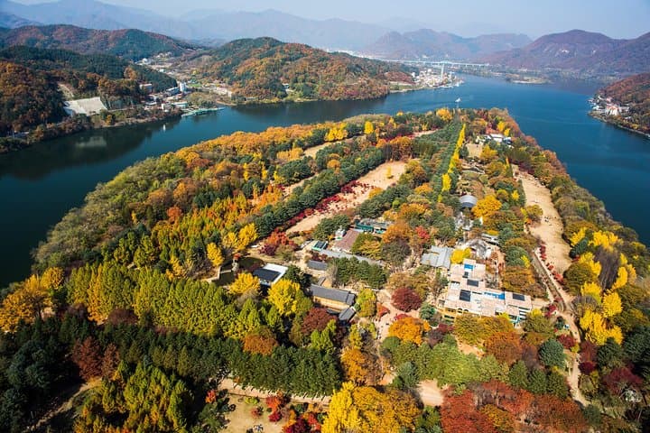 Nami Island & Petite France Day Trip from Seoul: Tree-Lined Roads and Petite Village Charm