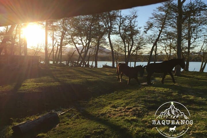 Horseback Riding to Lago Escondido — Half-Day Sunset Ride from Ushuaia photo 1