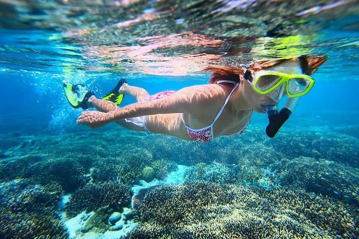 Scenic Flight to the Abrolhos Islands: East Wallaby Island Snorkel & Beach Picnic