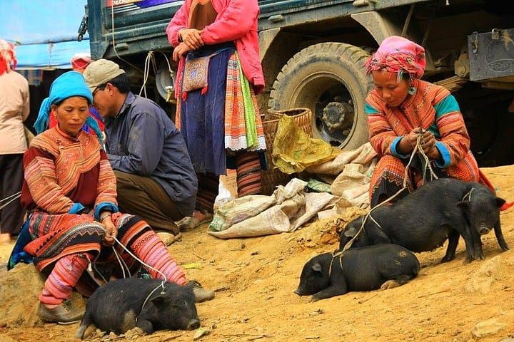 Amazing Sapa Hiking & Sightseeing: 3-Day Sapa Trek & Fansipan Cable Car photo 2