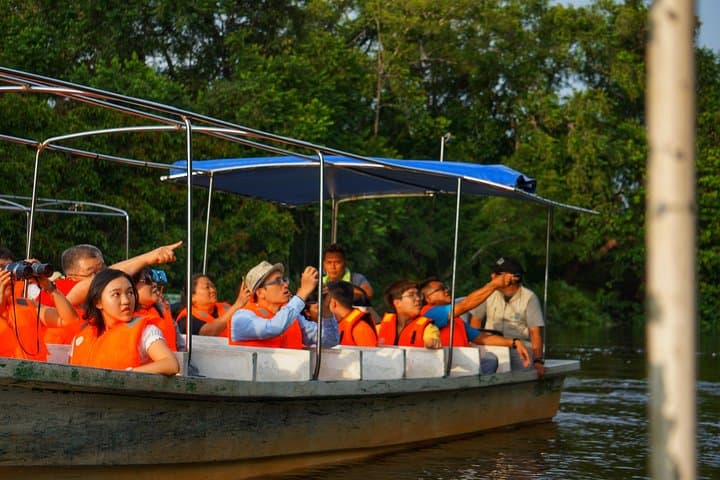 Klias Wildlife Safari River Cruise: Proboscis Monkeys, Sunset & Fireflies from Kota Kinabalu