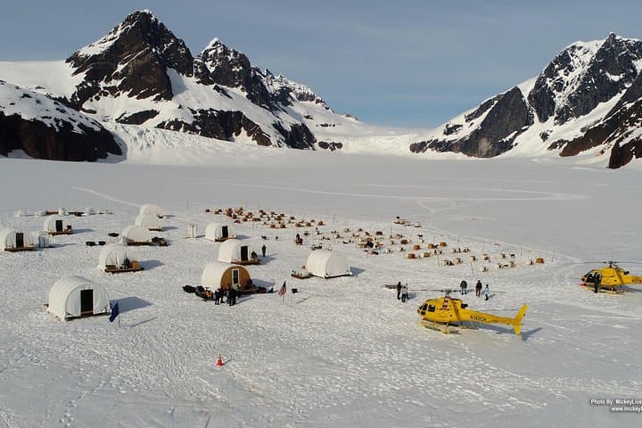 Helicopter to Herbert Glacier: Juneau Dogsledding & Glacier Landing Experience