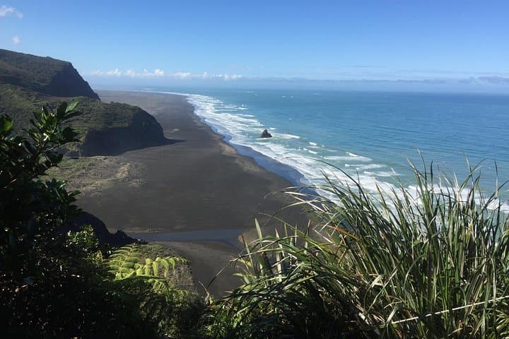 West Coast & Muriwai Gannet Colony Private Tour from Auckland photo 2