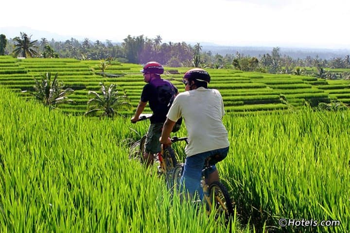 Cycling the Rice Fields of Ubud & Tegenungan Waterfall — Day Trip from Ubud