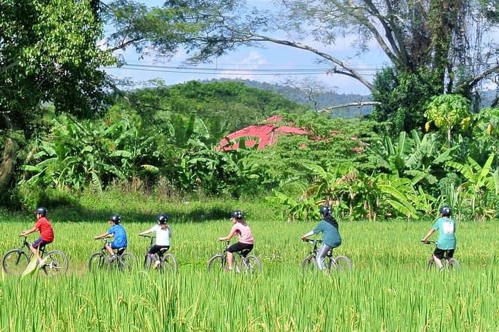 Overnight Mae Taeng Valley Cycling: Bua Tong (Sticky) Waterfall & Rural Trails photo 2