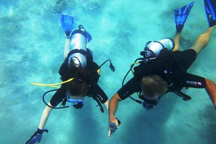 Discover Scuba Diving in St. Thomas: First-Timer Boat Dives and Snorkel Stops photo 5