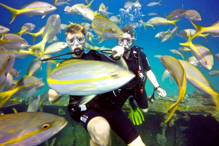 Discover Scuba Diving in St. Thomas: First-Timer Boat Dives and Snorkel Stops photo 3