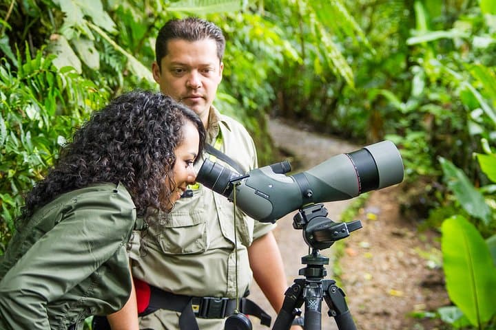 Full-Day Selvatura Monteverde Cloud Forest Adventure from Guanacaste photo 3