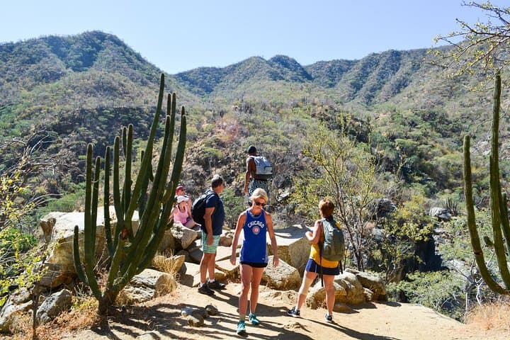 Fox Canyon Waterfall Hike — Los Cabos Oasis, Pools & Local Lunch photo 2