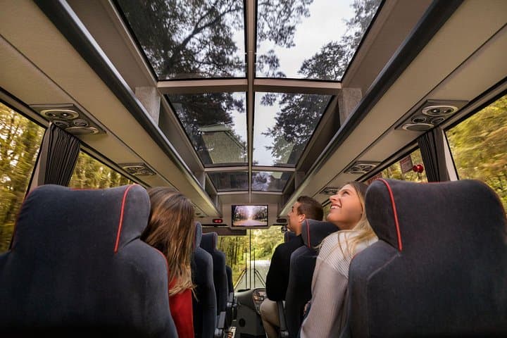 Milford Sound Coach & Cruise from Queenstown — Panoramic Day Trip to Piopiotahi photo 5