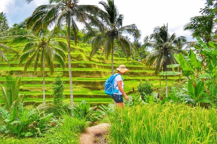 Bali Private Shore Excursion to Ubud: Monkey Forest, Rice Terraces & Art Villages photo 2