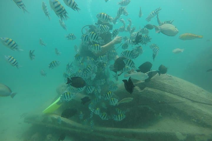 Nusa Dua Discover Scuba Diving and Jet Ski Adventure in Bali photo 5