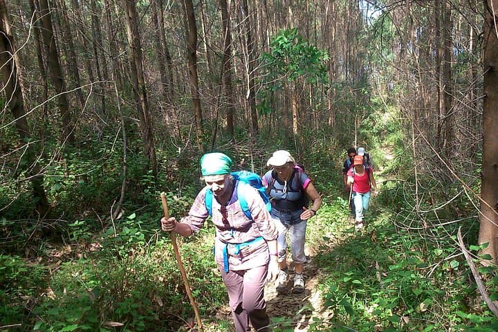 Kerala Cycle & Trek Tour — Fort Kochi Cycling and Suryanelli Treks in the Western Ghats photo 3