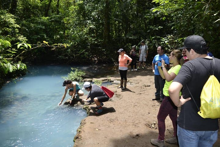 Rio Celeste Day Trip from San José — Tenorio Volcano Hike & Blue Lagoon photo 3