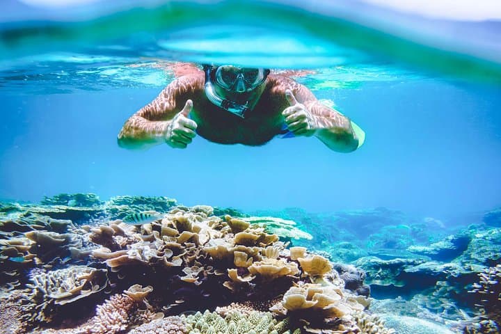Surin Islands Snorkeling Day Trip from Phuket — Sea Turtles, Moken Village & Clear Water photo 4