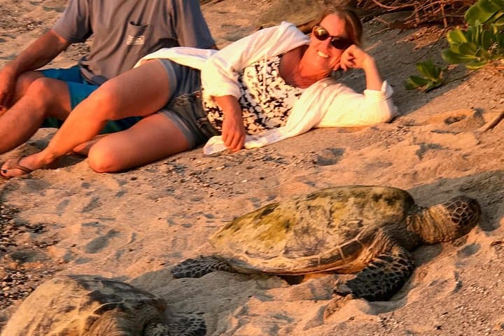 Kona Shore Excursion: Sea Turtles, Historic Kona & Coffee Tour photo 5
