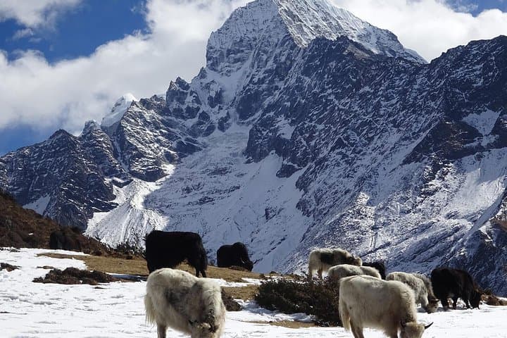 Everest Short Trek: 5-Day Lukla to Namche & Hotel Everest View photo 5
