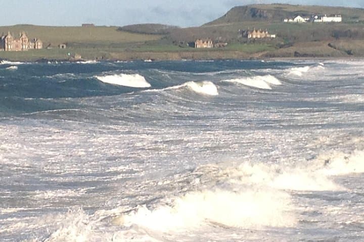 Giant's Causeway Day Tour from Belfast — Coach Trip to Basalt Cliffs, Dunluce & Bushmills photo 3