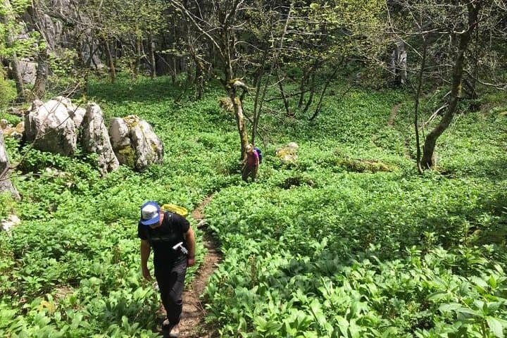White Rocks Wilderness: Vihoraski Trail One-Day Hike from Zagreb photo 3