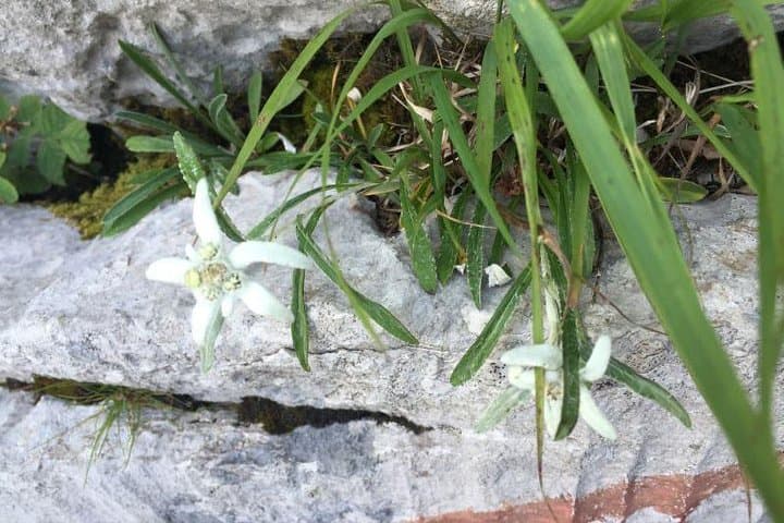 White Rocks Wilderness: Vihoraski Trail One-Day Hike from Zagreb photo 6