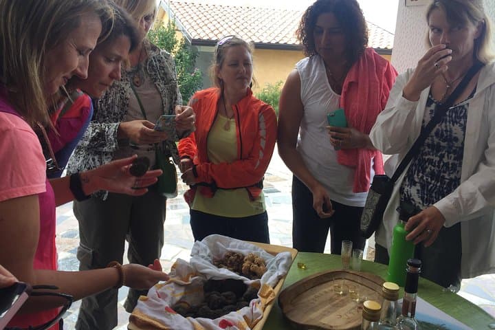 Guided Truffle Hunt in Istria: Day Trip from Zagreb with Tasting photo 3