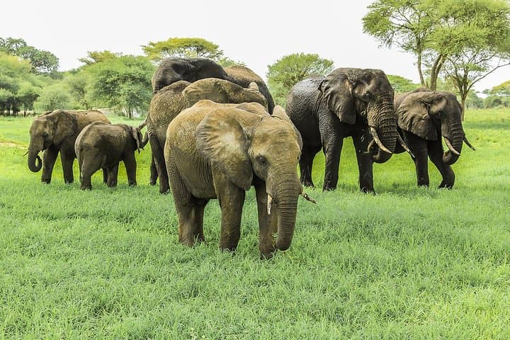 Bikes, Hippos & Gorges: 2-Day Hell's Gate, Lake Naivasha & Crescent Island Safari photo 4