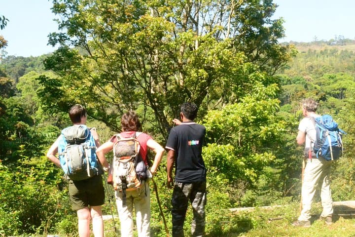Kerala Bird Watching and Trekking Tour: Thattekad to Munnar Wildlife Escape photo 2