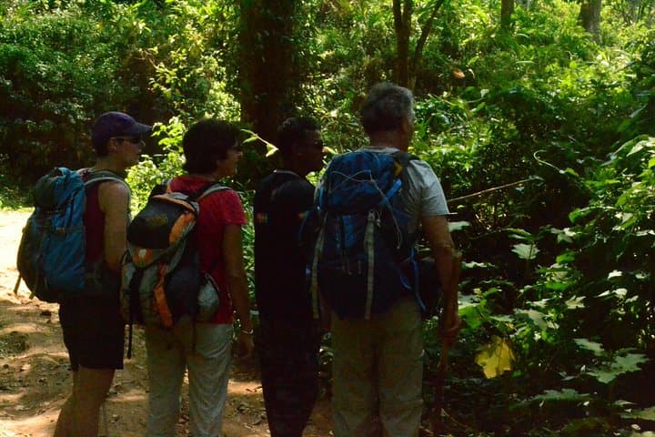 Kerala Bird Watching and Trekking Tour: Thattekad to Munnar Wildlife Escape photo 4