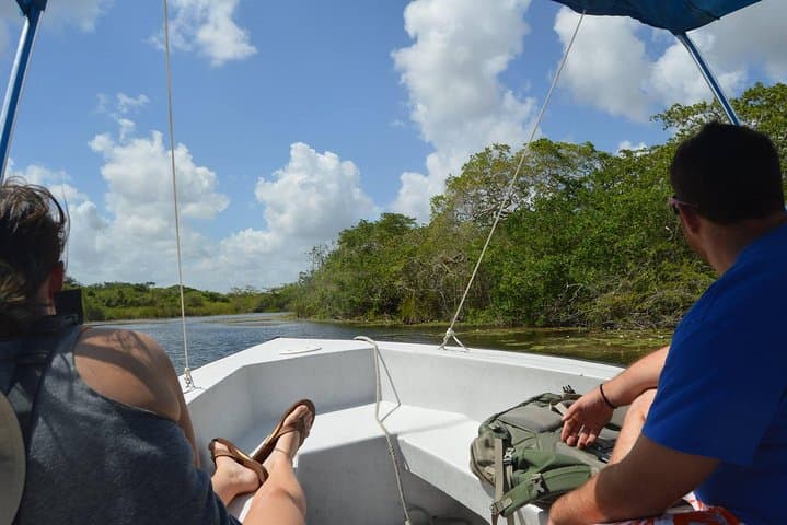 Lamanai Temples & New River Cruise: Howler Monkeys, Maya Ruins and Birding photo 2