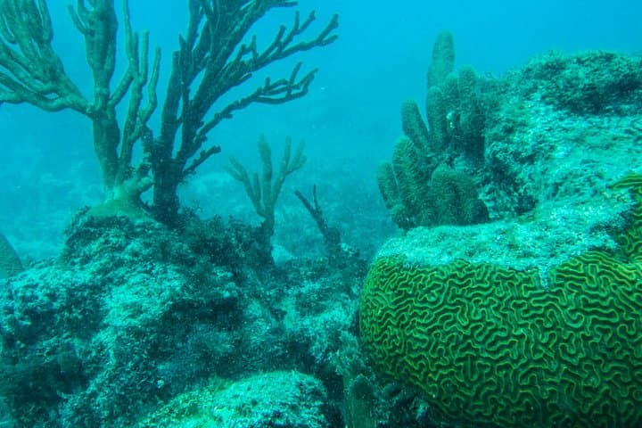Sail to Isla Mujeres: Full-Day Catamaran from Playa del Carmen photo 3