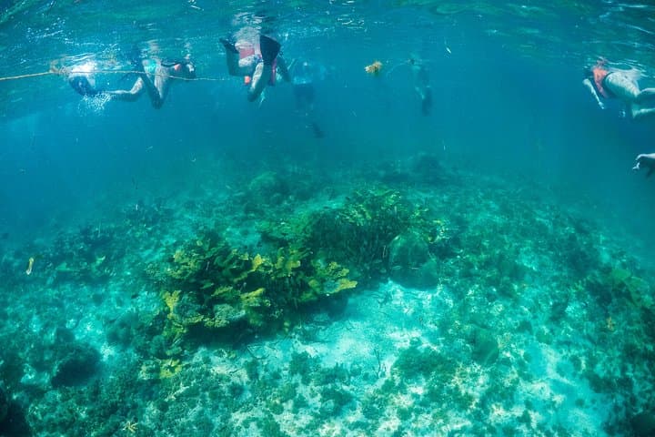 Isla Mujeres Catamaran Day Cruise from Cancun – Snorkel, Beach & Open Bar photo 6