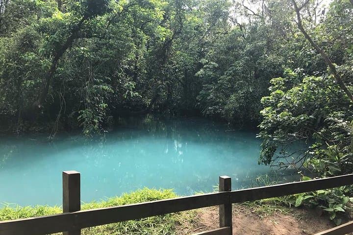Rio Celeste & Tenorio Volcano Hike — Day Trip from Tamarindo to the Blue River photo 5