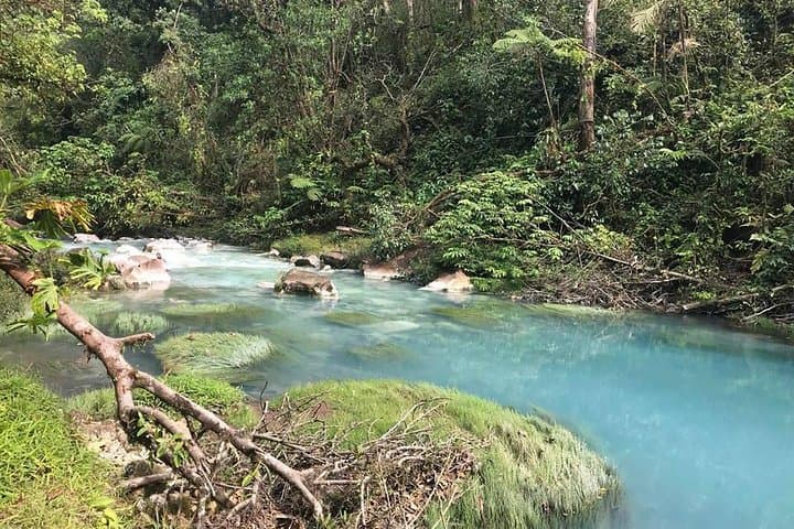 Rio Celeste & Tenorio Volcano Hike — Day Trip from Tamarindo to the Blue River photo 6