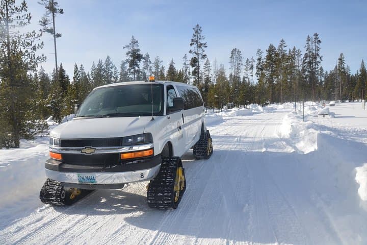 Yellowstone Snowcoach Tour from Jackson Hole: See Old Faithful in Winter photo 5